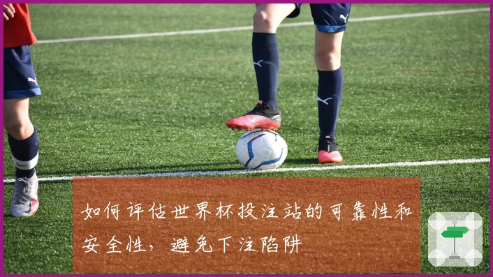 如何评估世界杯投注站的可靠性和安全性，避免下注陷阱