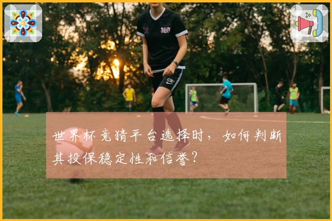 世界杯竞猜平台选择时，如何判断其投保稳定性和信誉？