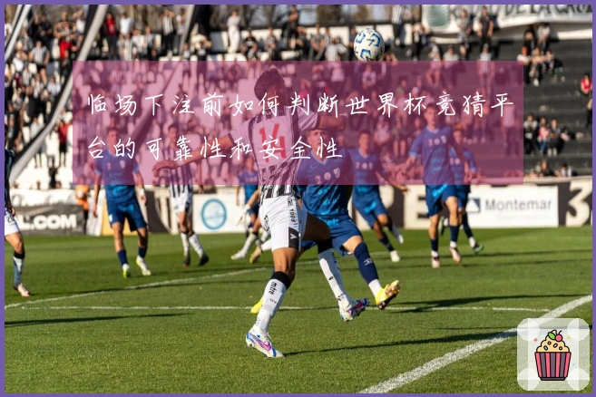 临场下注前如何判断世界杯竞猜平台的可靠性和安全性