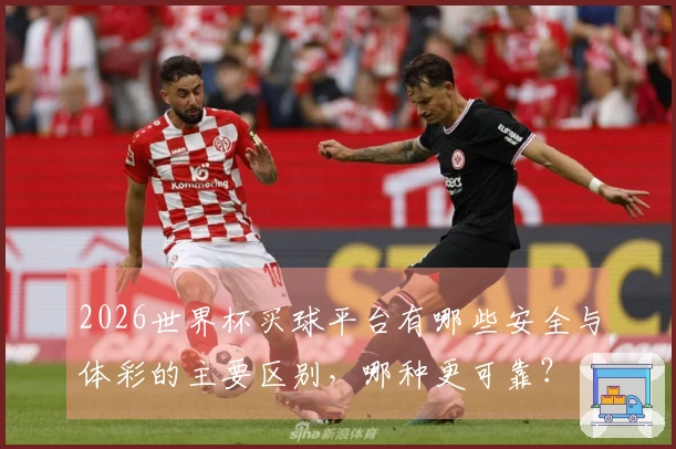 2026世界杯买球平台有哪些安全与体彩的主要区别，哪种更可靠？