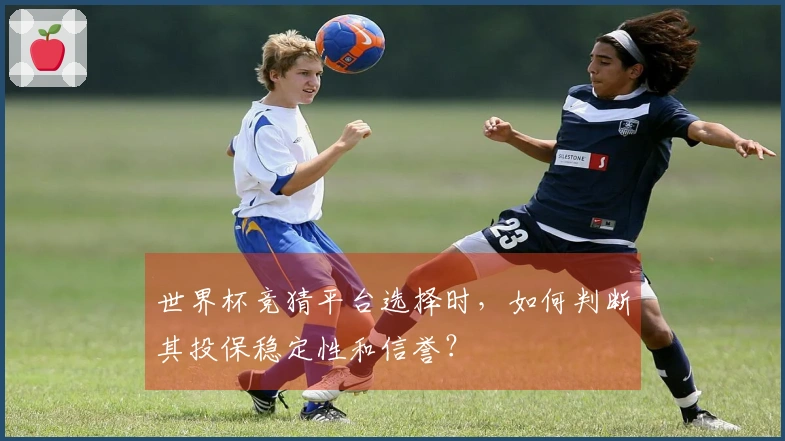 世界杯竞猜平台选择时，如何判断其投保稳定性和信誉？