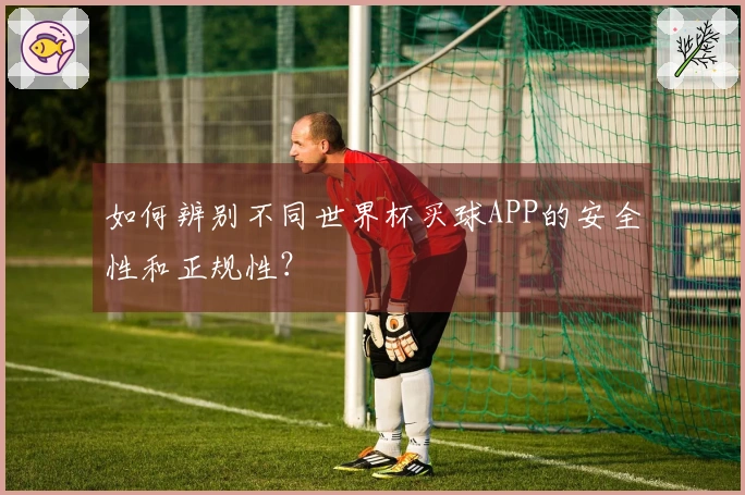如何辨别不同世界杯买球APP的安全性和正规性？