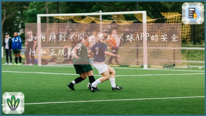 如何辨别不同世界杯买球APP的安全性和正规性？